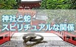 神社で蛇を見たけど縁起がいい?神社と蛇とスピリチュアルな関係