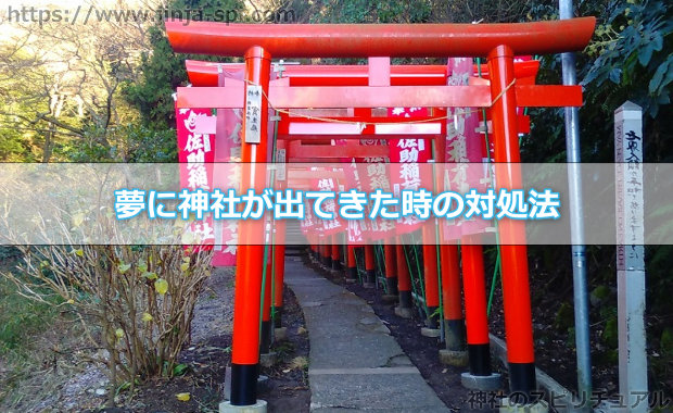 夢に神社が出てきた時の対処法