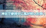 神社で参拝中に風が吹いた時は！？神様にあなたの気持ちが届いた証