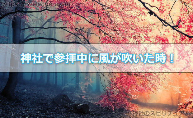 神社で参拝中に風が吹いた時は！？神様にあなたの気持ちが届いた証