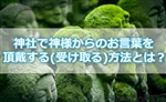 神社で神様からのお言葉を頂戴する(受け取る)方法とは?